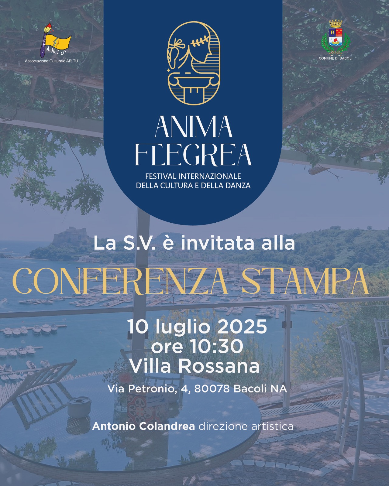 Immagine anteprima