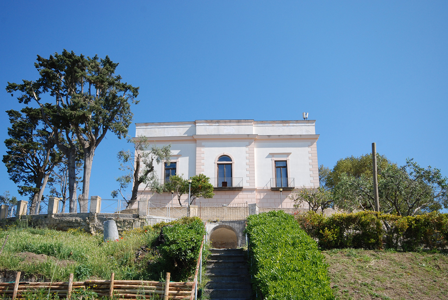 Immagine anteprima