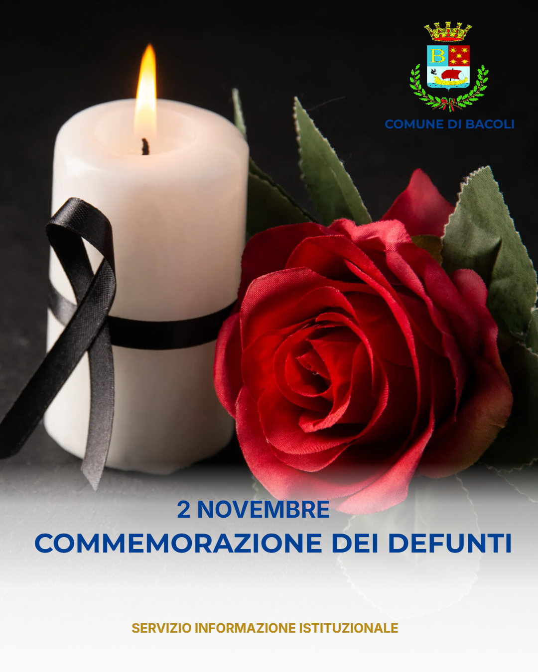 Immagine anteprima